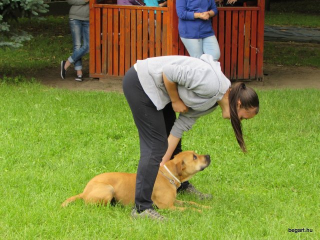 Gyereknap