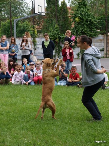 Gyereknap