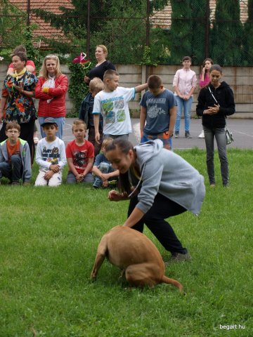 Gyereknap