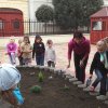 Kertészkedés "1.a módra"