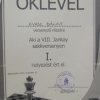 VIII. Jankay sakkverseny