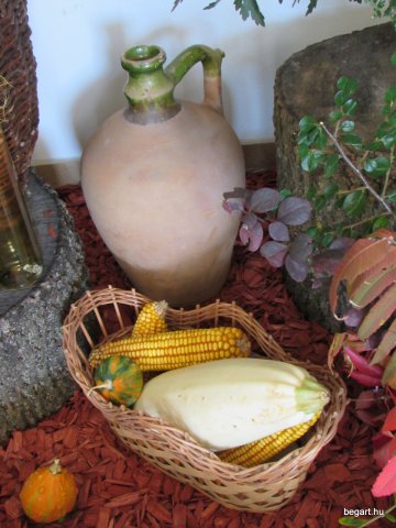 Szüreti mulatság 2014