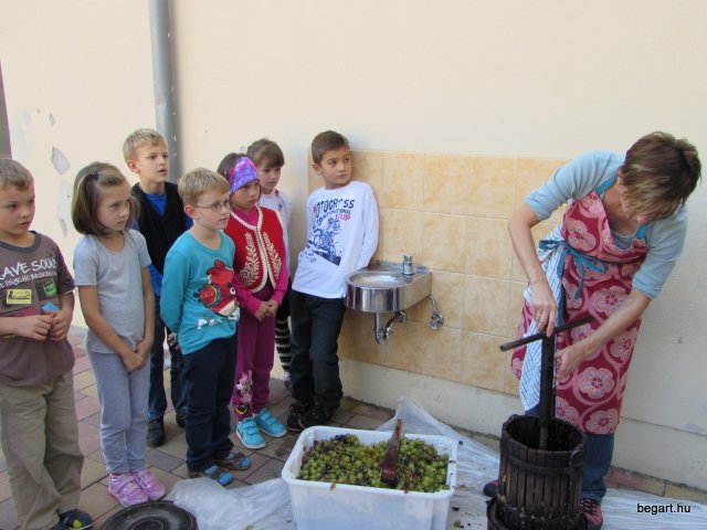 Szüreti mulatság 2014