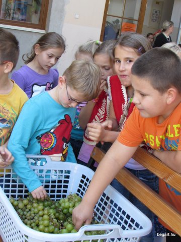 Szüreti mulatság 2014