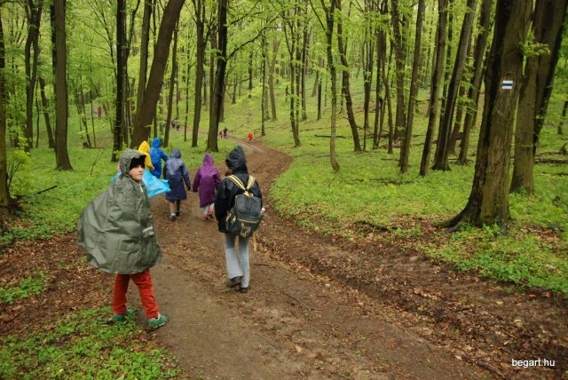 A tavaszi szüneti vértesi túra