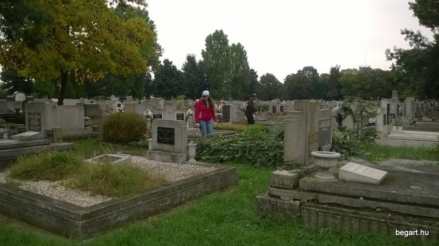 72 óra kompromisszum nélkül