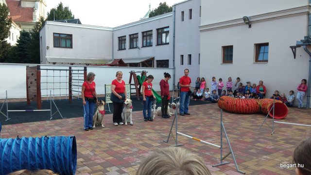 Állatok világnapja