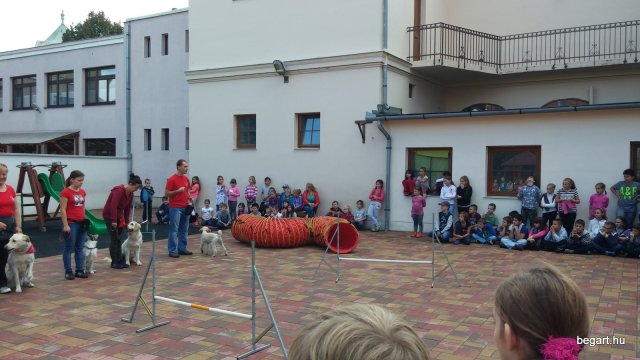 Állatok világnapja