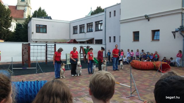 Állatok világnapja