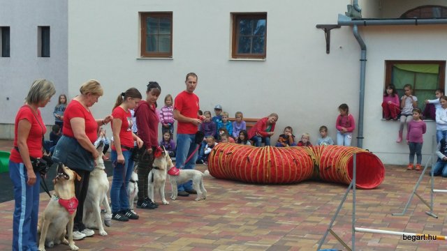 Állatok világnapja