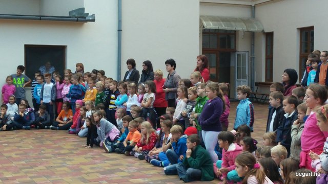 Állatok világnapja