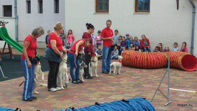 Állatok világnapja