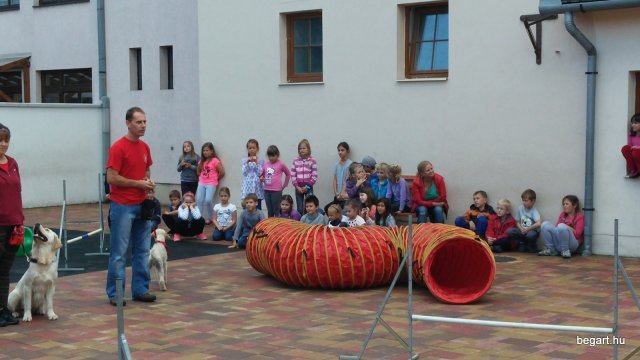 Állatok világnapja