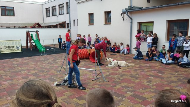 Állatok világnapja