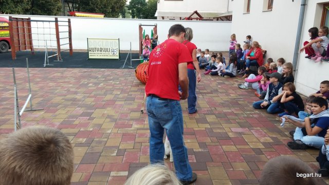Állatok világnapja