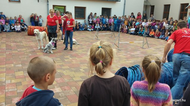 Állatok világnapja