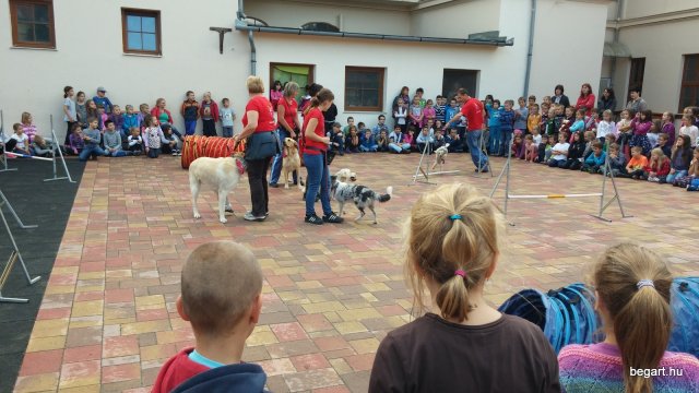 Állatok világnapja