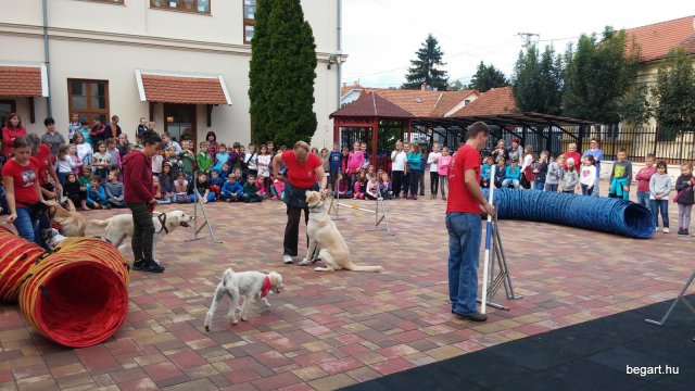 Állatok világnapja