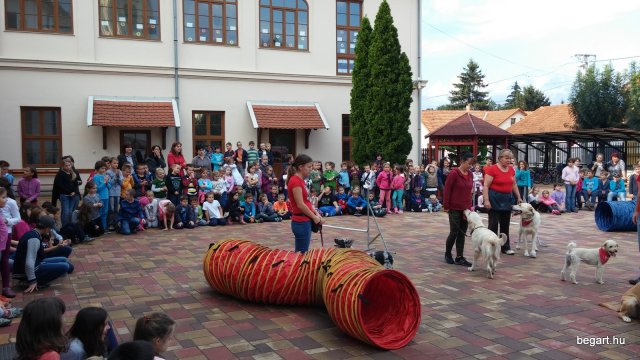 Állatok világnapja