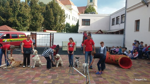 Állatok világnapja