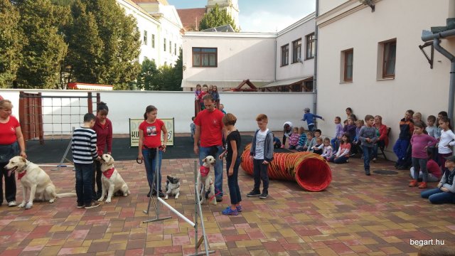 Állatok világnapja