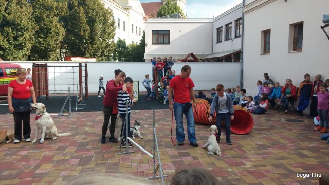 Állatok világnapja