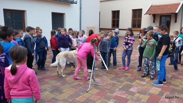 Állatok világnapja
