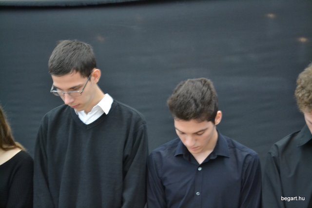 Aradi 13