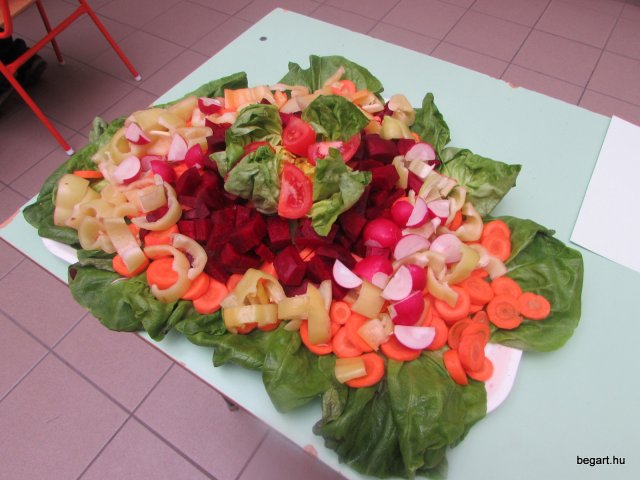 Egészségnap 2015