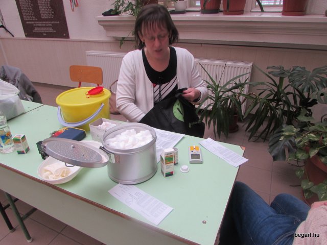 Egészségnap 2015