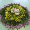 Kollégiumi ballagás 2015