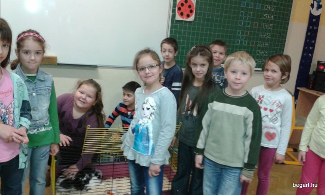 Rendhagyó környezetismeret óra az 1.b osztályban 