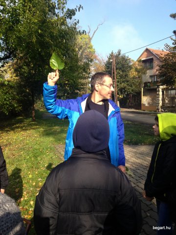 Amikor a lecke életre kel…