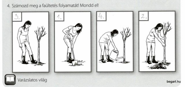 Amikor a lecke életre kel…