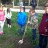Amikor a lecke életre kel…