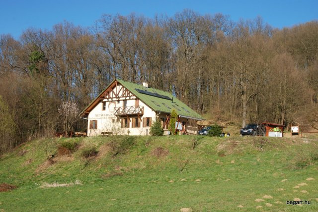 Tavasz a Mecsekben