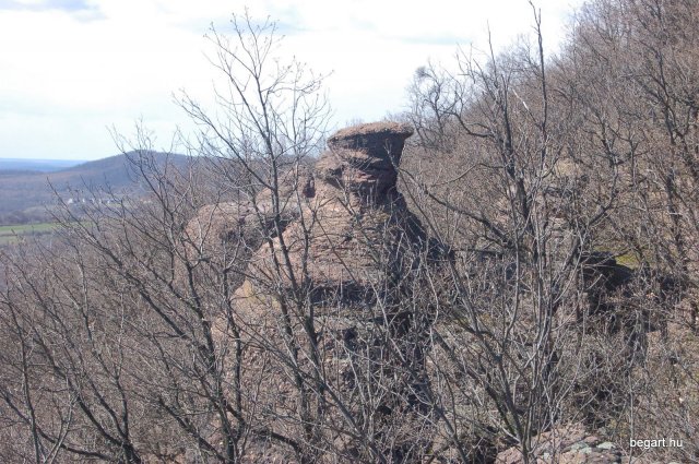 Tavasz a Mecsekben