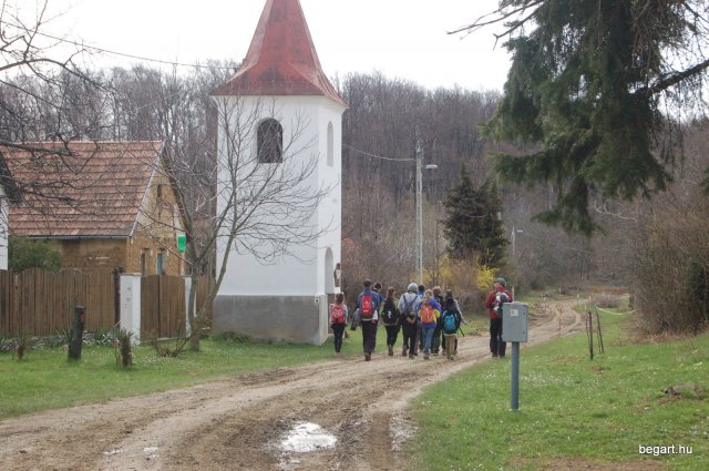 Tavasz a Mecsekben