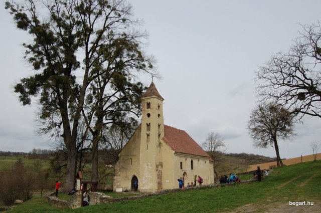 Tavasz a Mecsekben