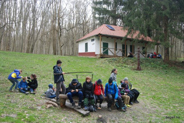 Tavasz a Mecsekben