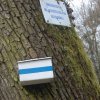 Tavasz a Mecsekben