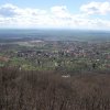 Tavasz a Mecsekben