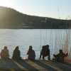 Tavasz a Mecsekben