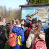 Tavasz a Mecsekben