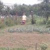Mécses Egyesület Mezőberény