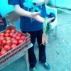 Mécses Egyesület Mezőberény