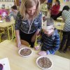 A mézeskalács házikótól a sakkpalotáig