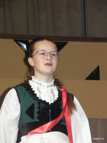 Segesvár - diákcsere képekben 