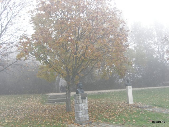 Segesvár - diákcsere képekben 