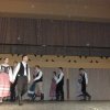 Segesvár - diákcsere képekben 